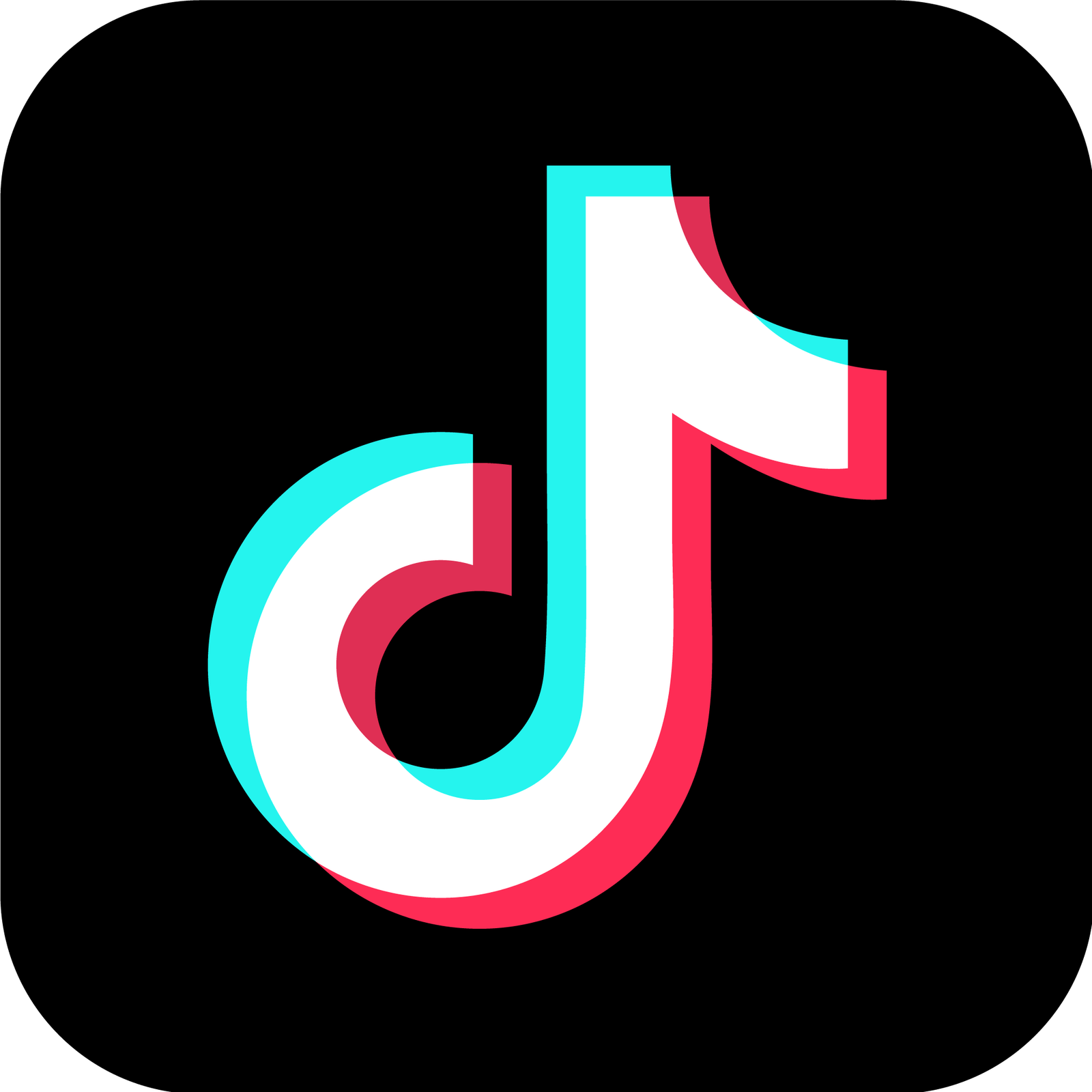 Tiktok Handle